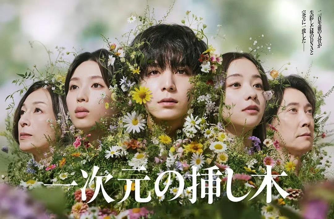 一次元的扦插 更新1-2集资源 