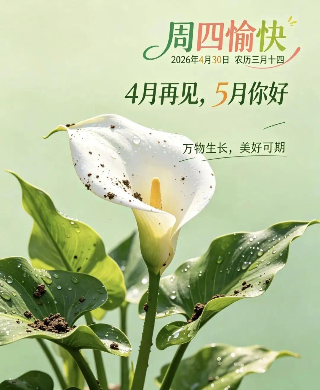 新晨如约而至，四月画上句号，五月满怀希望启程。愿眼里有光心中有爱，不负时光不负流