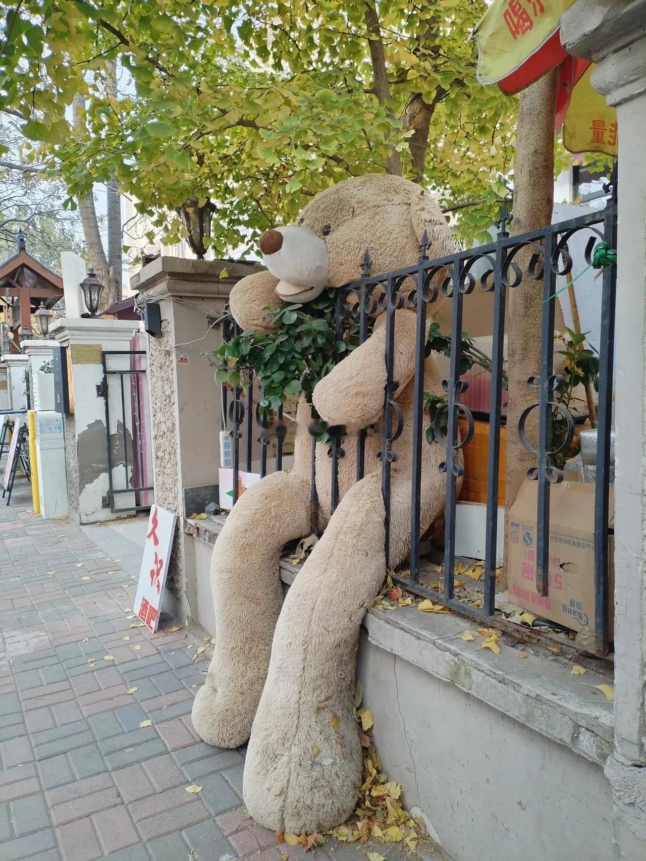 这周在哈尔滨拍摄电动车视频的特别多，配的台词都是：瞧瞧这是谁家的电动车？？？这么