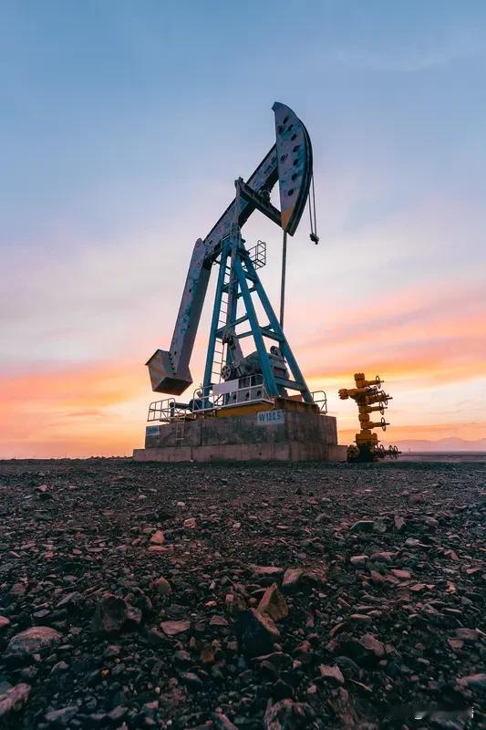 油价涨跌起伏不定，市场行情变幻无常。油气行业从容顺势应变，严控成本精细运营，巧用