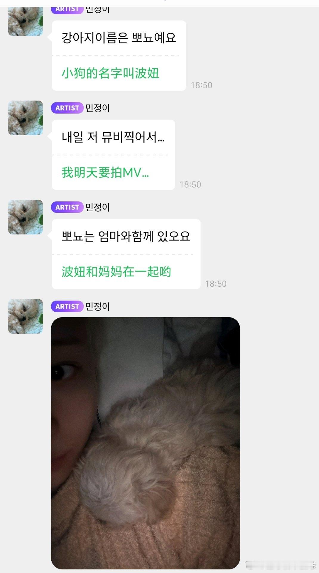 旼炡真的养了一只小狗！ 