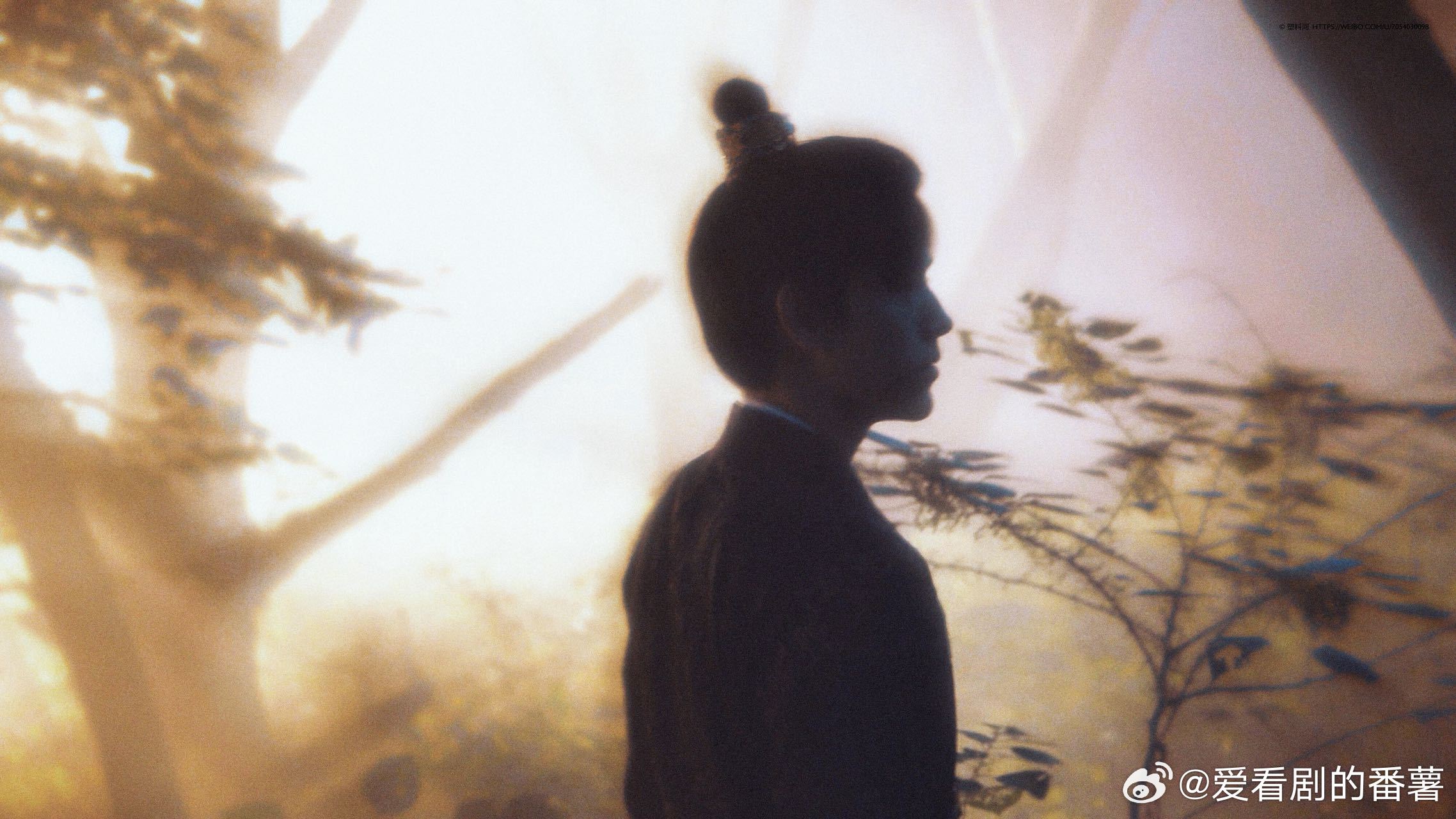 陈飞宇早该演将军了白日提灯段胥这少年将军扮相真的很贴脸，兼具少年感与将军气场，身