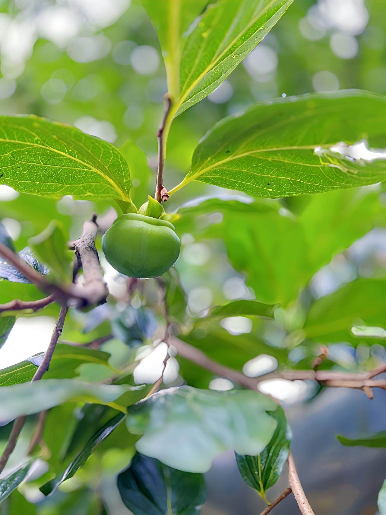 【小公司别谈管理，先磨好你的“豆腐”】

很多企业败在一个误区：规模还小，就急着
