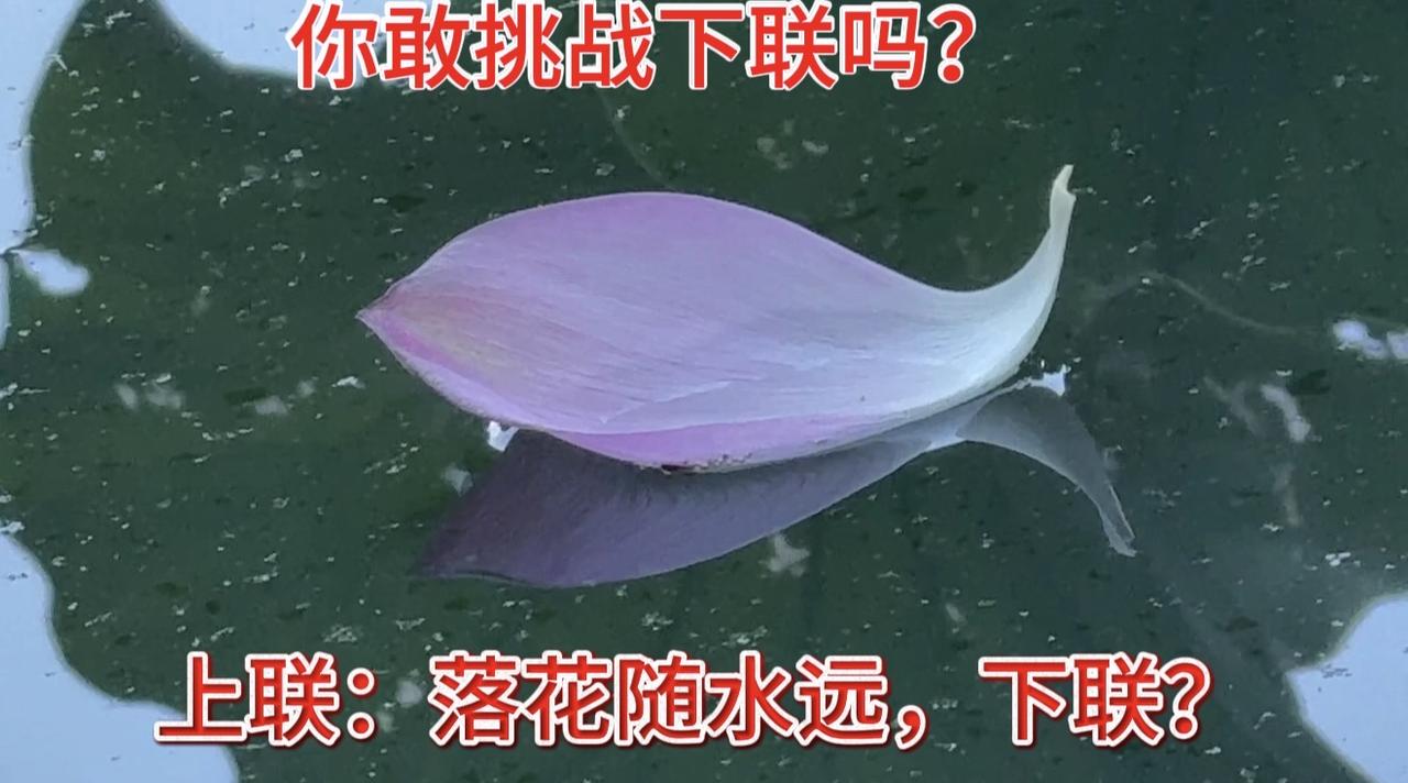 一池落荷一首诗
上联：落花随水远，谁能续后半句？