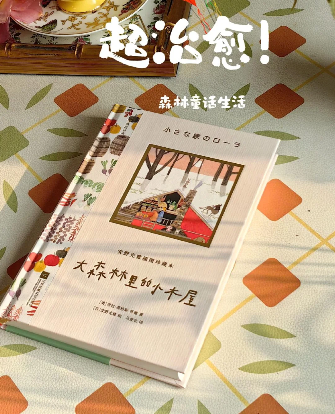 《大森林里的小木屋》