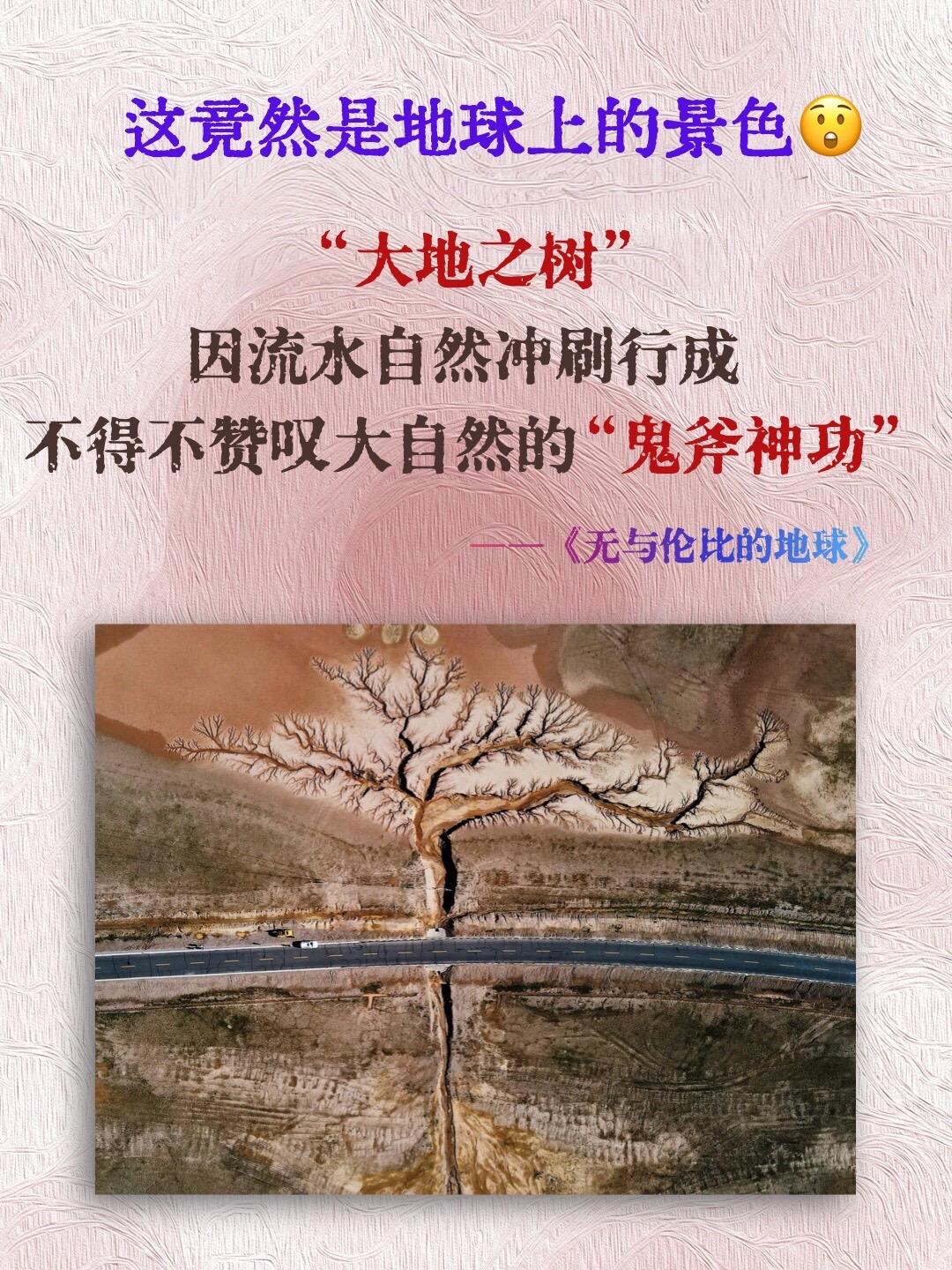 DK 科普书，一旦入手就难以自拔。只有零次和无数次！ 在漫长的数百万年...