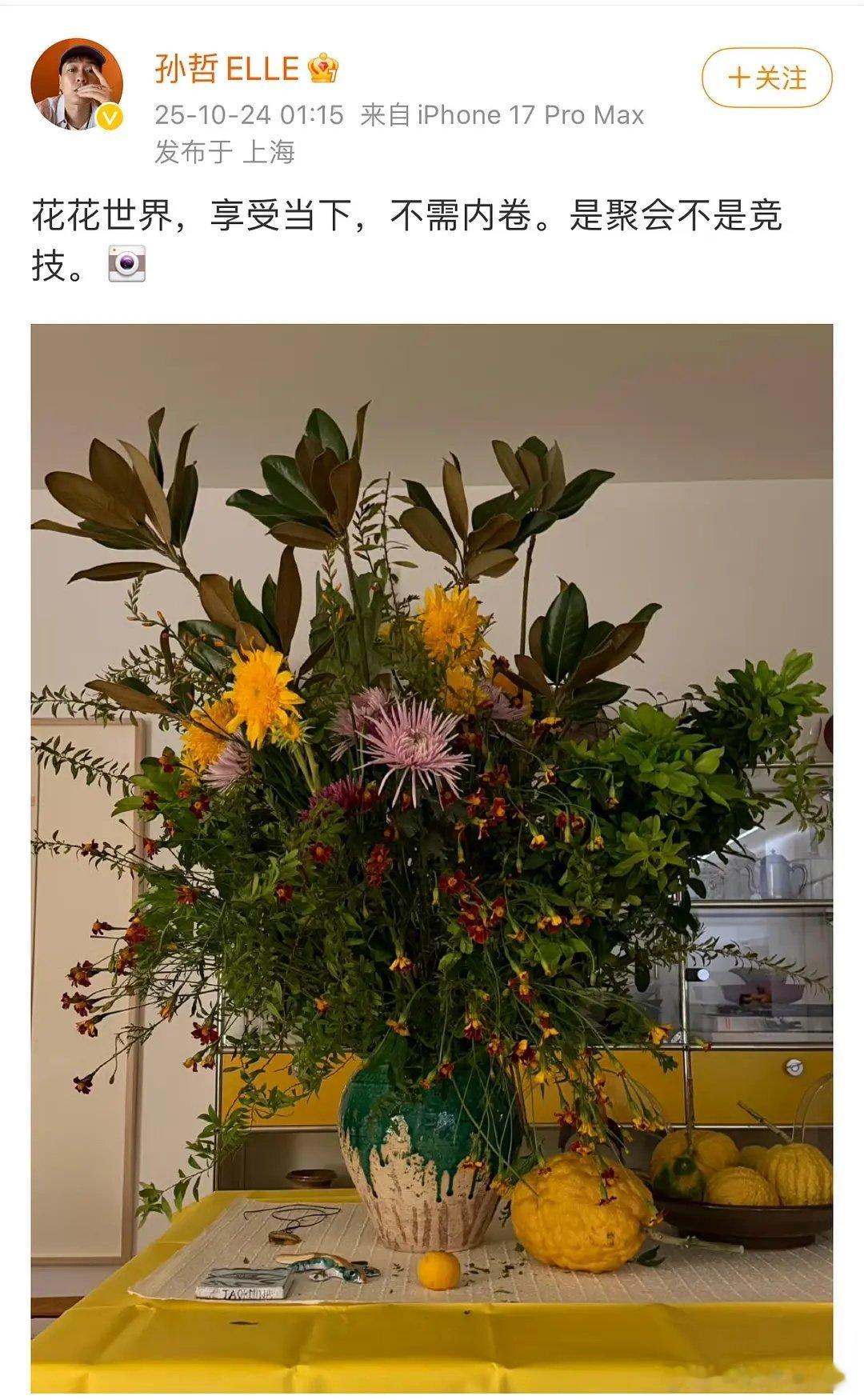 你快卷卷吧看elle都被你搞成啥样了还在这人淡如菊呢 ​​​