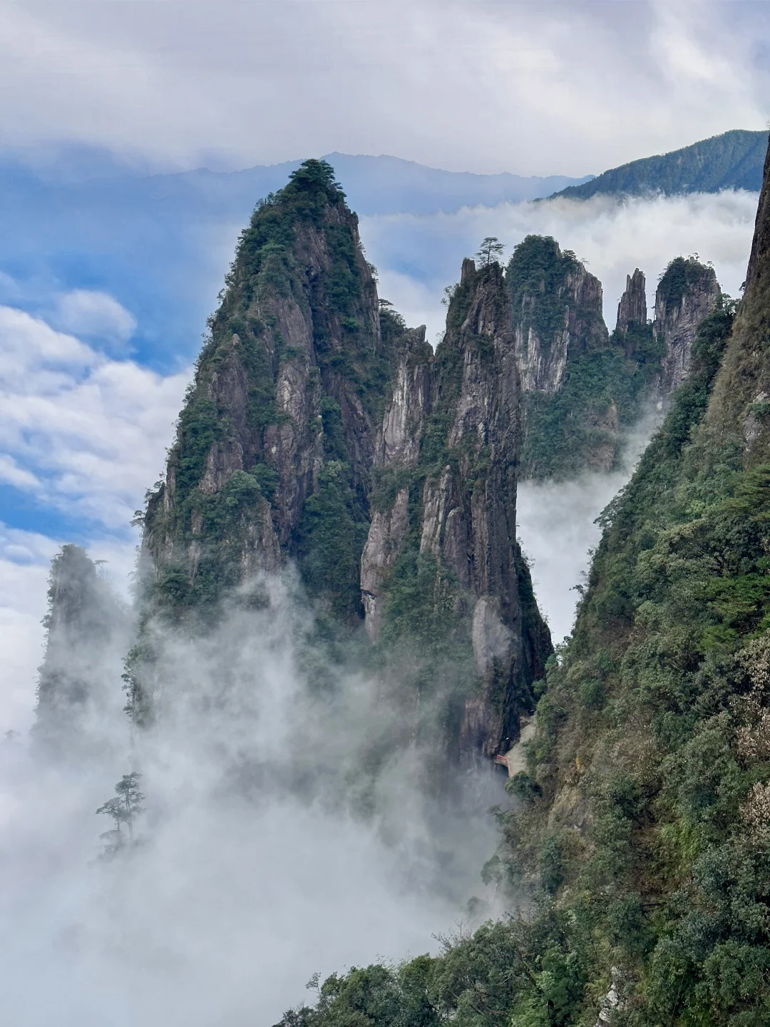 深圳打工人挑战周末旅游第5️⃣8️⃣站莽山