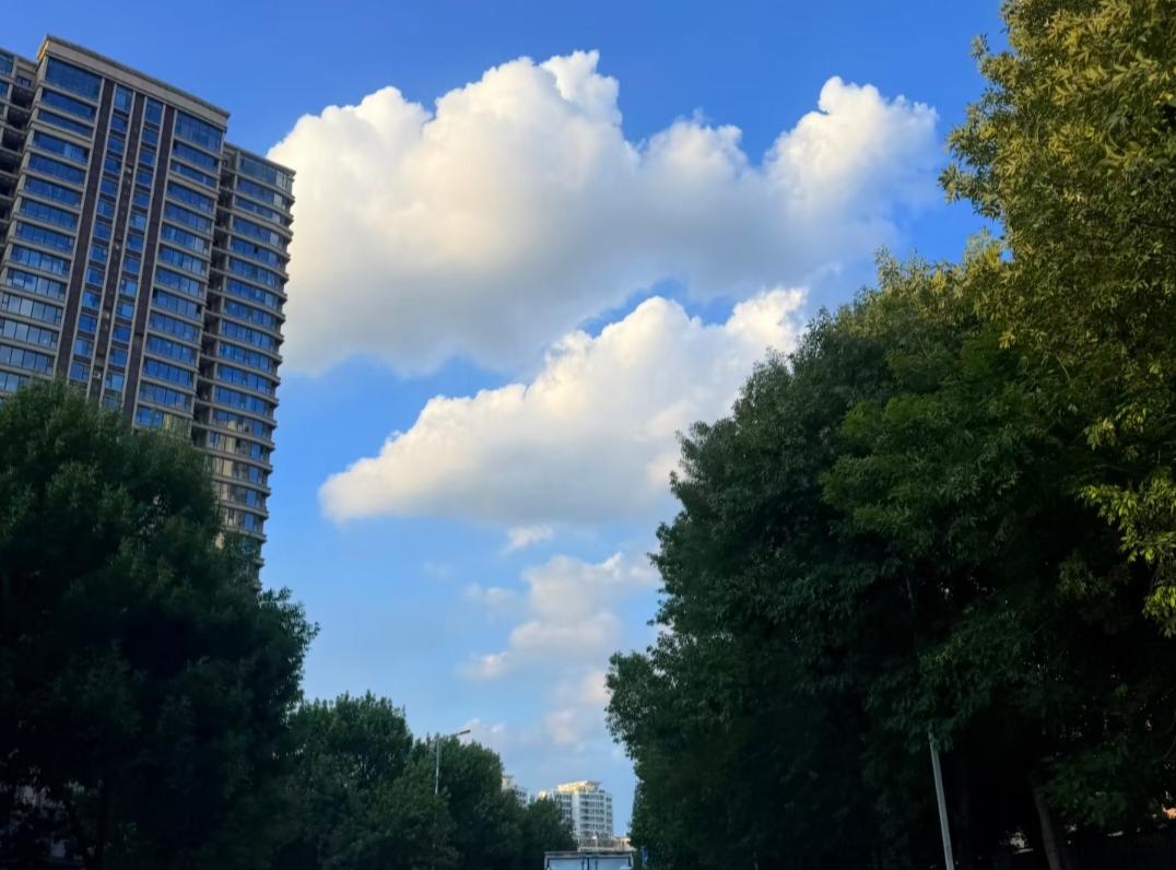晒图笔记大赛临沂这两天的云朵像动漫里的那样，干净，纯洁，美爆了！