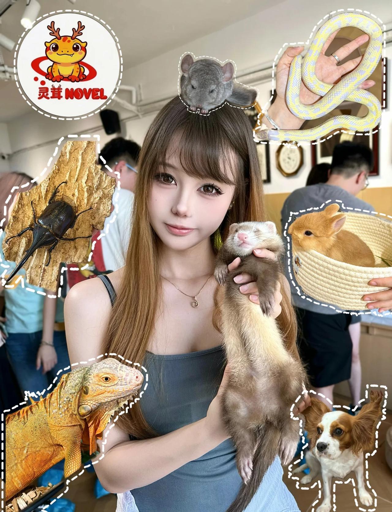 重庆首家‼️藏在观音桥里的灵茸爬宠店～
适合情侣约会、带小朋友玩、聚会娱乐的新晋