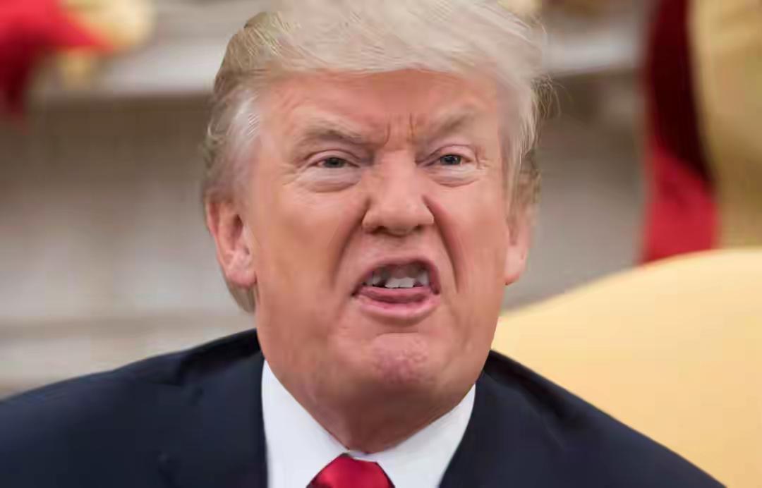 特朗普下令加税，德国第一个撤军，谁敢出兵守岛，美国就加税10%