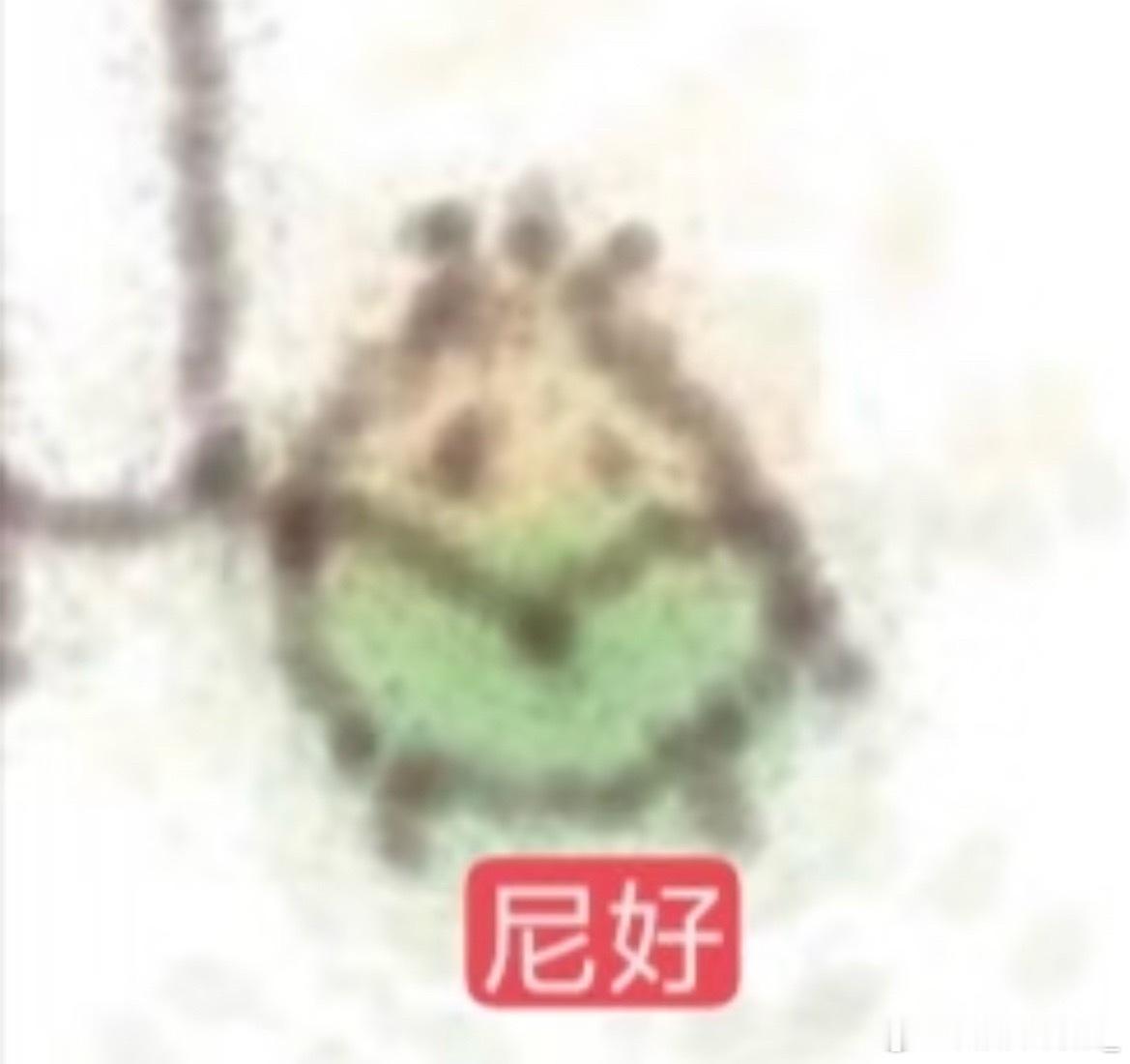 🈷️🈷️ 小拇指卡66共友 sx踢踢窝哦～关于续火我一般是有铁的续主动 无铁