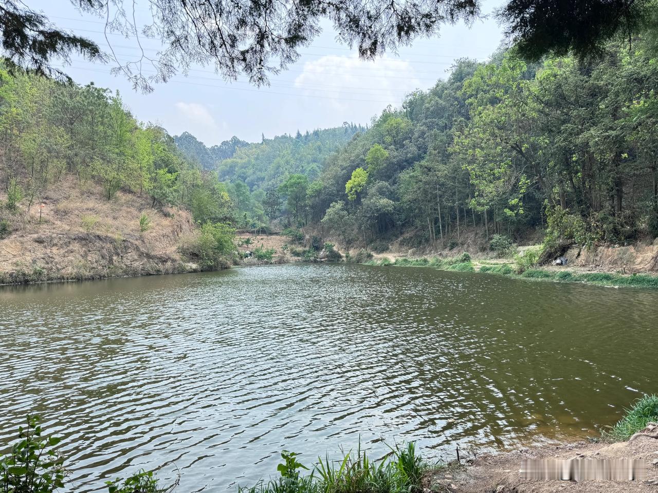 发现山中美景，山里面还有一座庄园，里面却空无一人，也不知道人去了哪里啊，而且还有