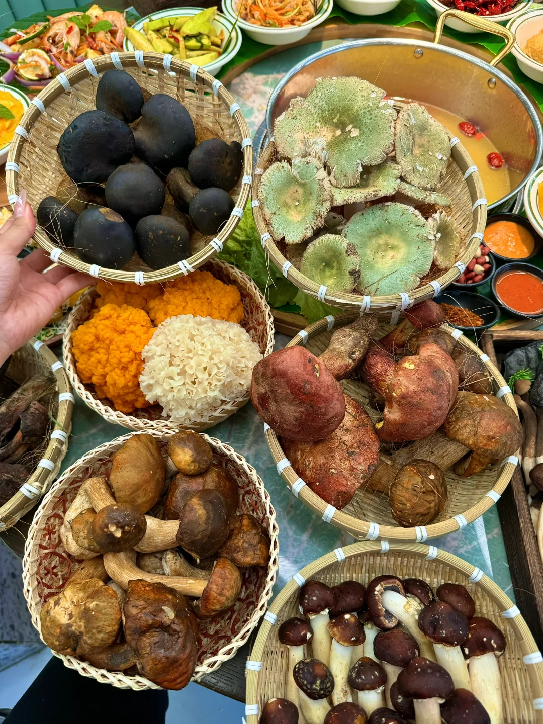 来西双版纳我就只做一件事情！！吃菌子火锅！！