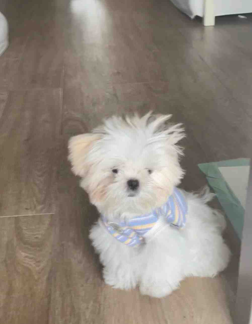 嗯？下班时间到啦？我刚醒 