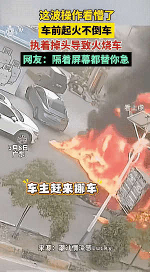 广东车主迷惑操作，车前起火不倒车，硬要掉头，结果火把车烧到了
 
监控画面里，起