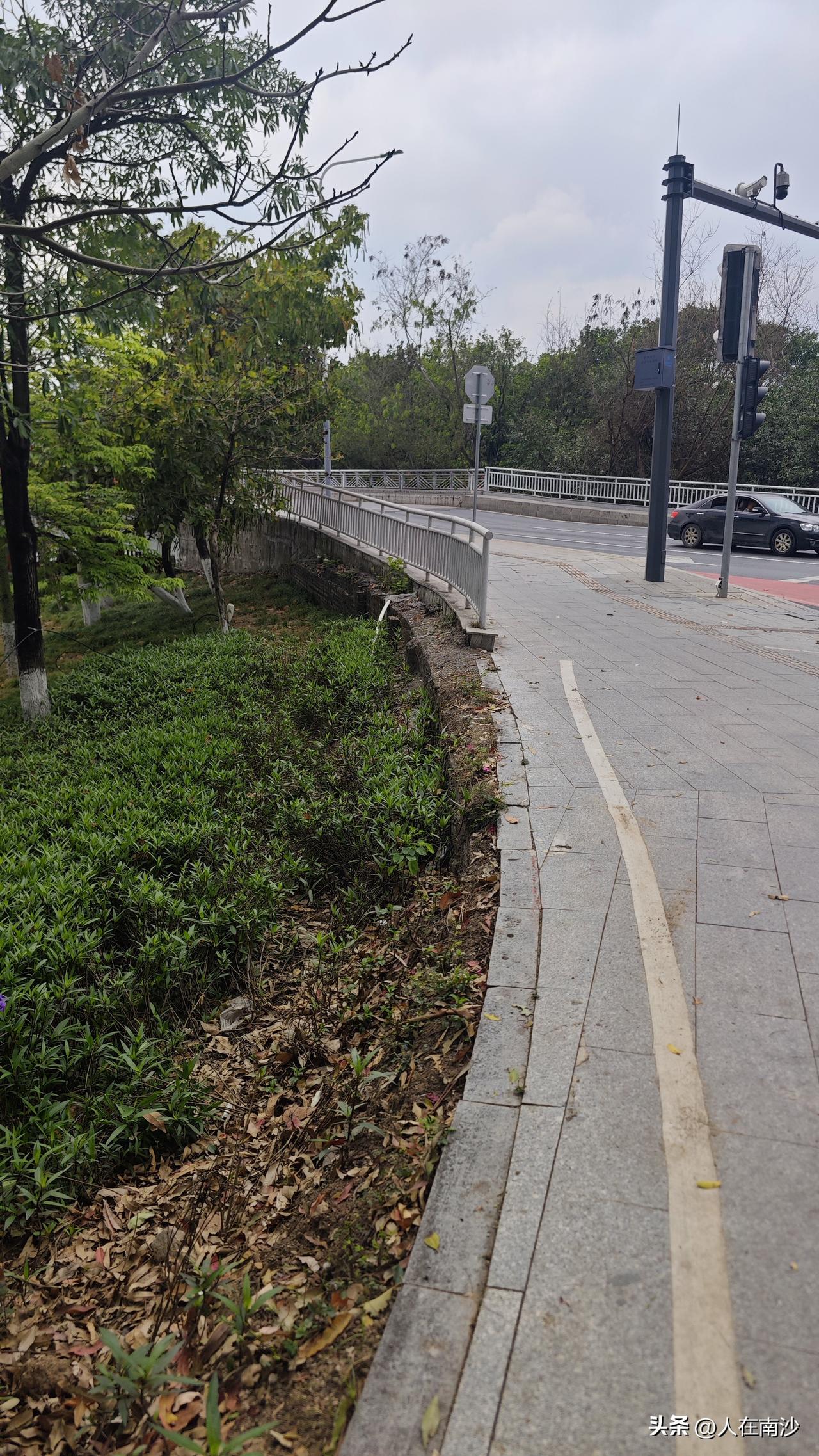 蕉门河两岸就别再搞花花草草了，还是先把安全隐患给修补一下吧。目前蕉门河上的几座桥