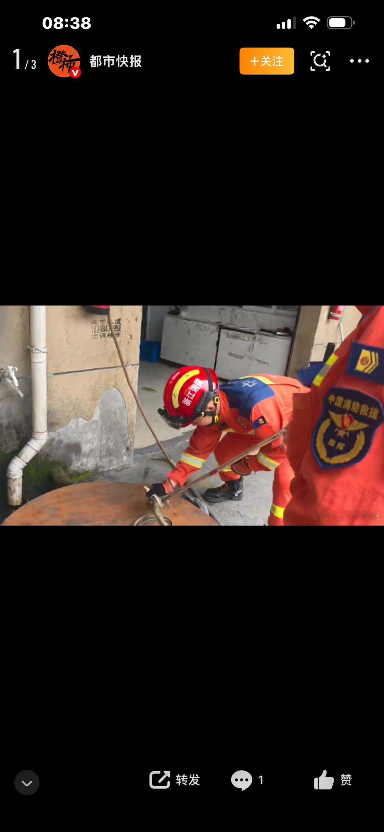 吓懵杭州人！五天抓50多条蛇！楼道、厨房、阳台全中招，背后真相太意外

杭州人最