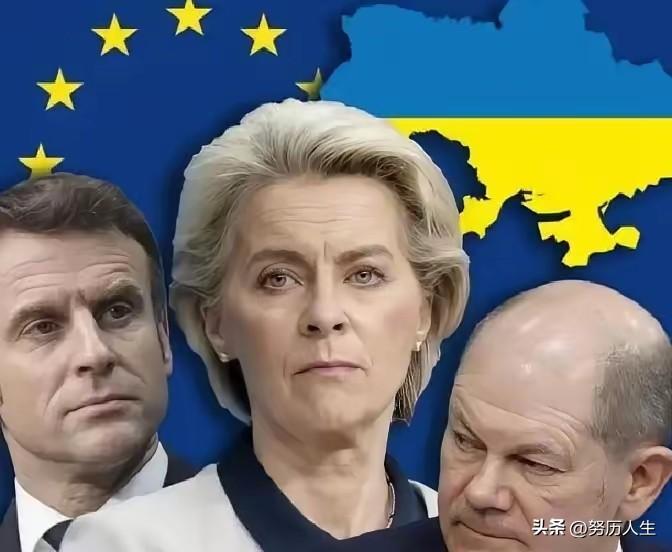 其实事实证明一旦欧盟把技术搞到手，中国企业再把工厂建起来，马上就会像非洲的尼日尔