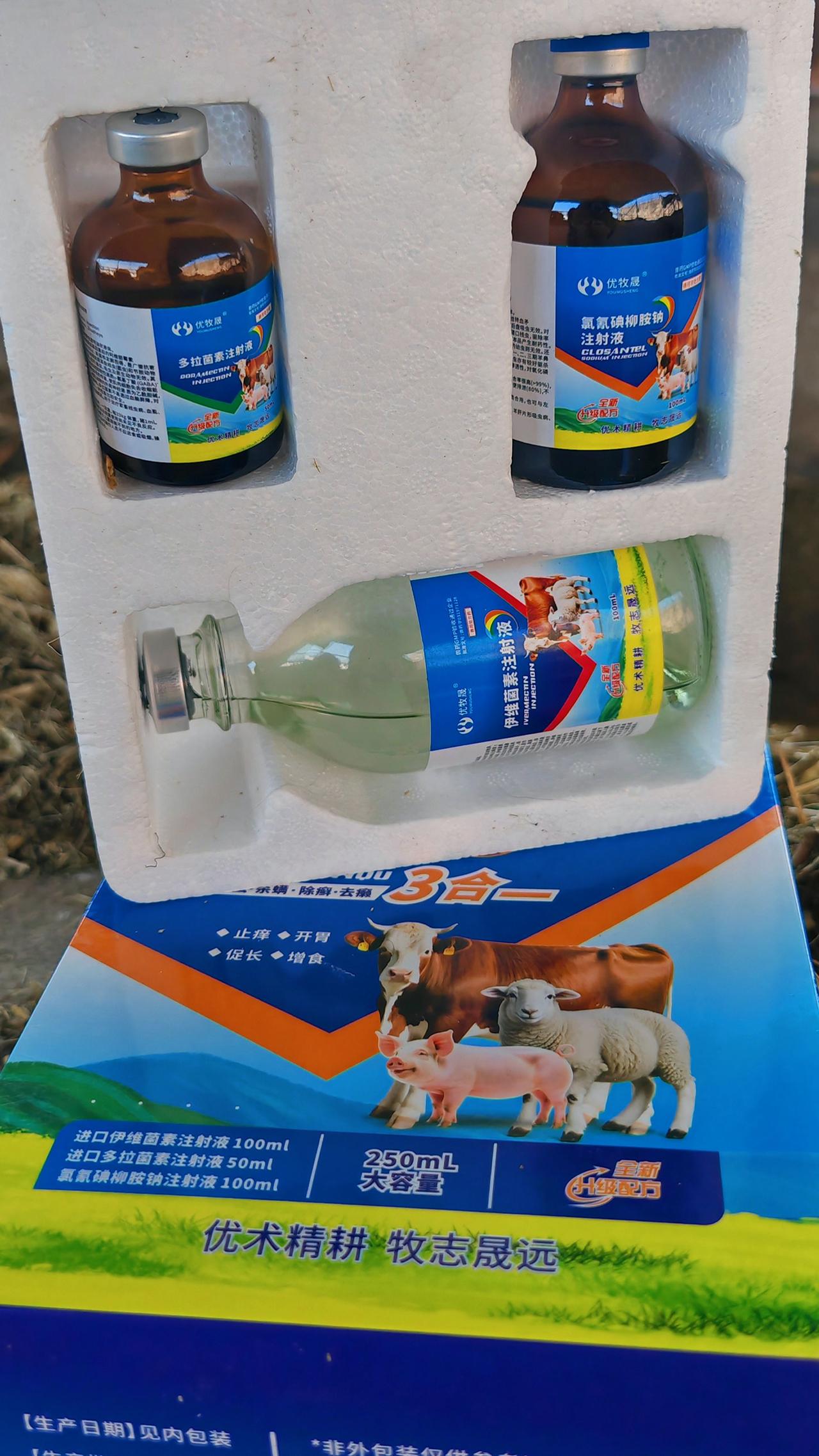 养羊人 农村养羊 牛羊养殖