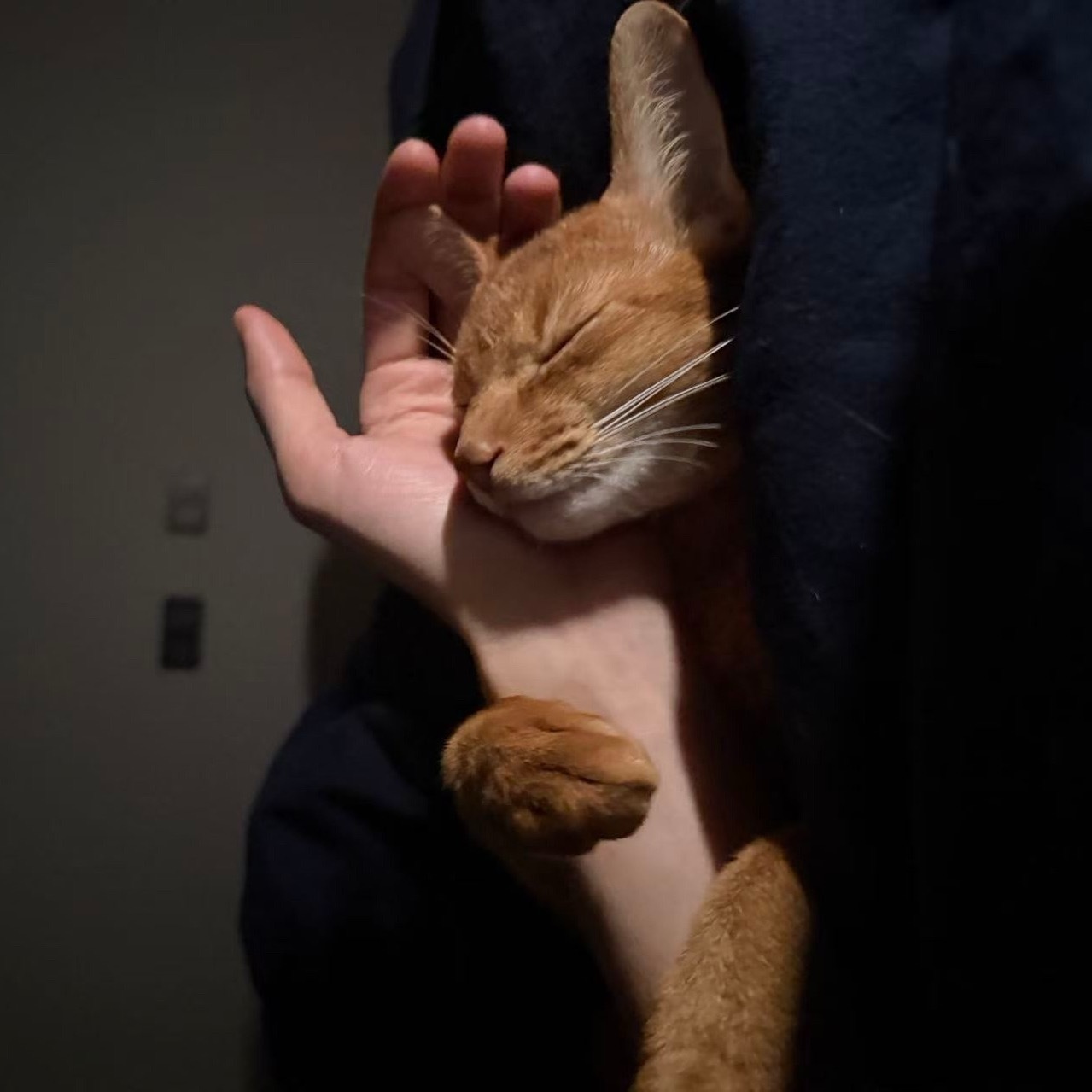 孩子睡觉都爱抱着妈妈 ​​​