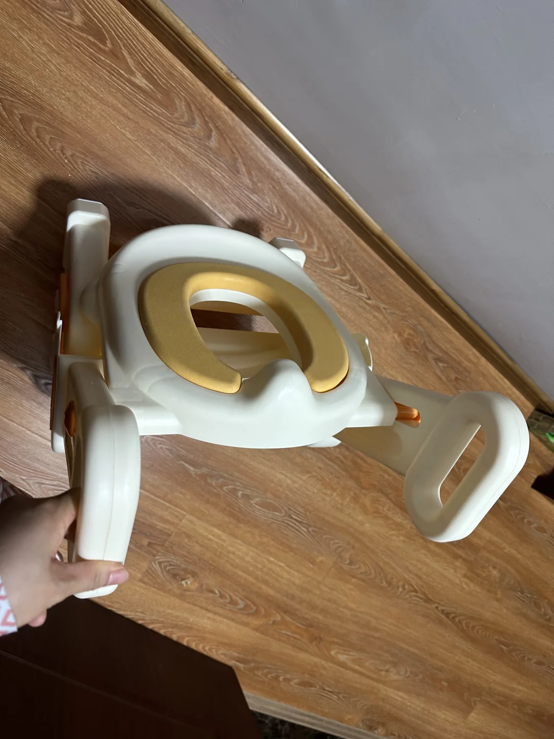 什么时候开始给孩子做如厕训练呢？