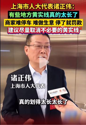 建议取消不必要黄实线的上海人大代表，叫诸正伟，一家材料公司的老总，这才是代表人民