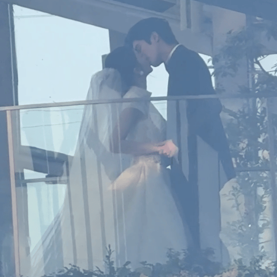 龙麦