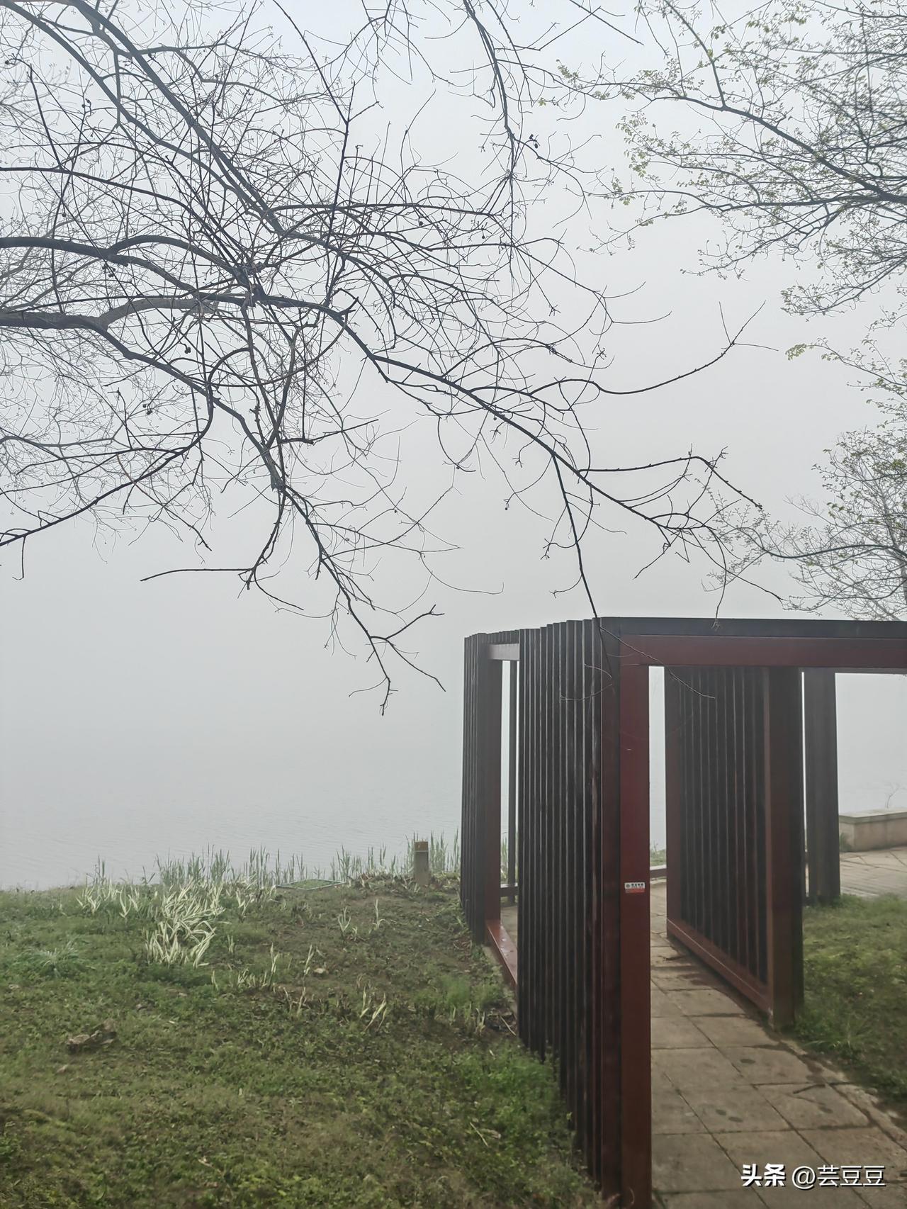 今天晨跑公园里的雾可真大，朦朦胧胧的，像人间仙境，让人神清气爽。