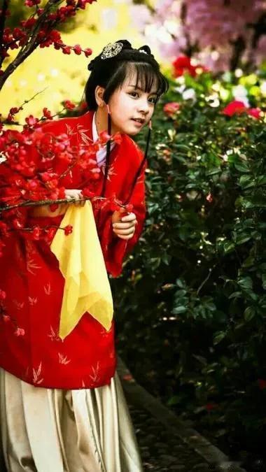 史湘云在红楼梦中十分重要，但是她直到第二十回时才正式出场，而且在这次出埸中，关于