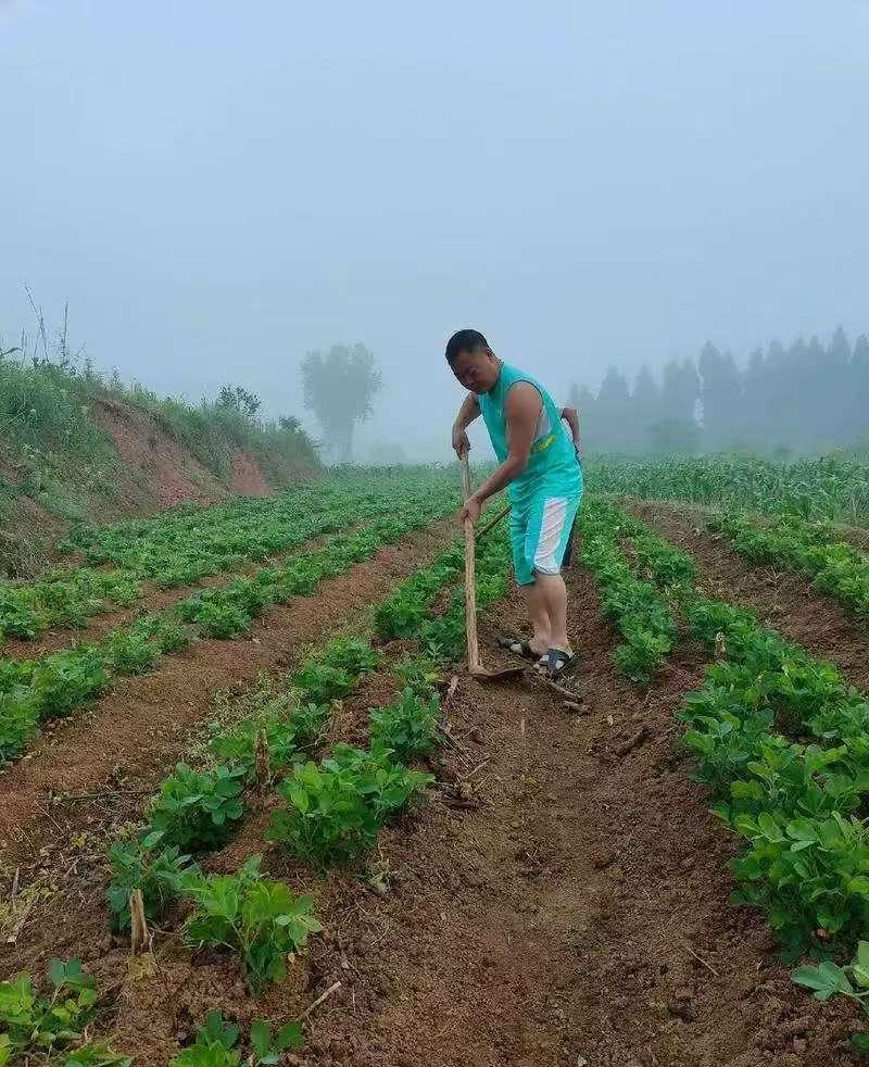 这个医生医术绝对精湛[赞]
1月14日，一媒体报道，浙江省台州市一40多岁未婚男