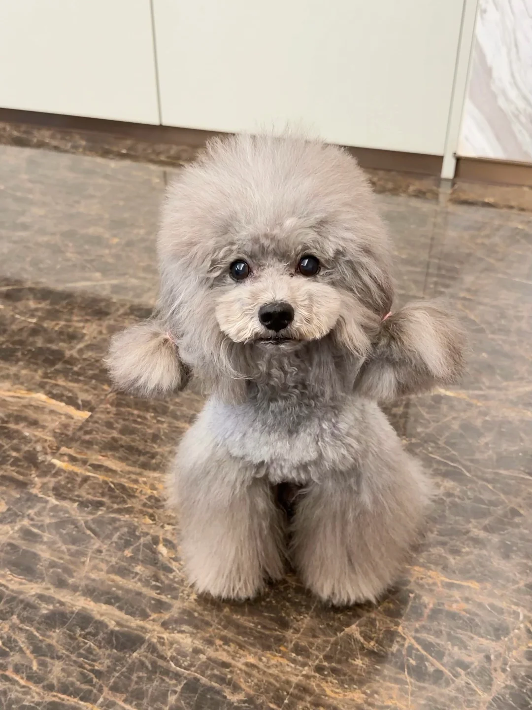 今天特别特别特别可爱