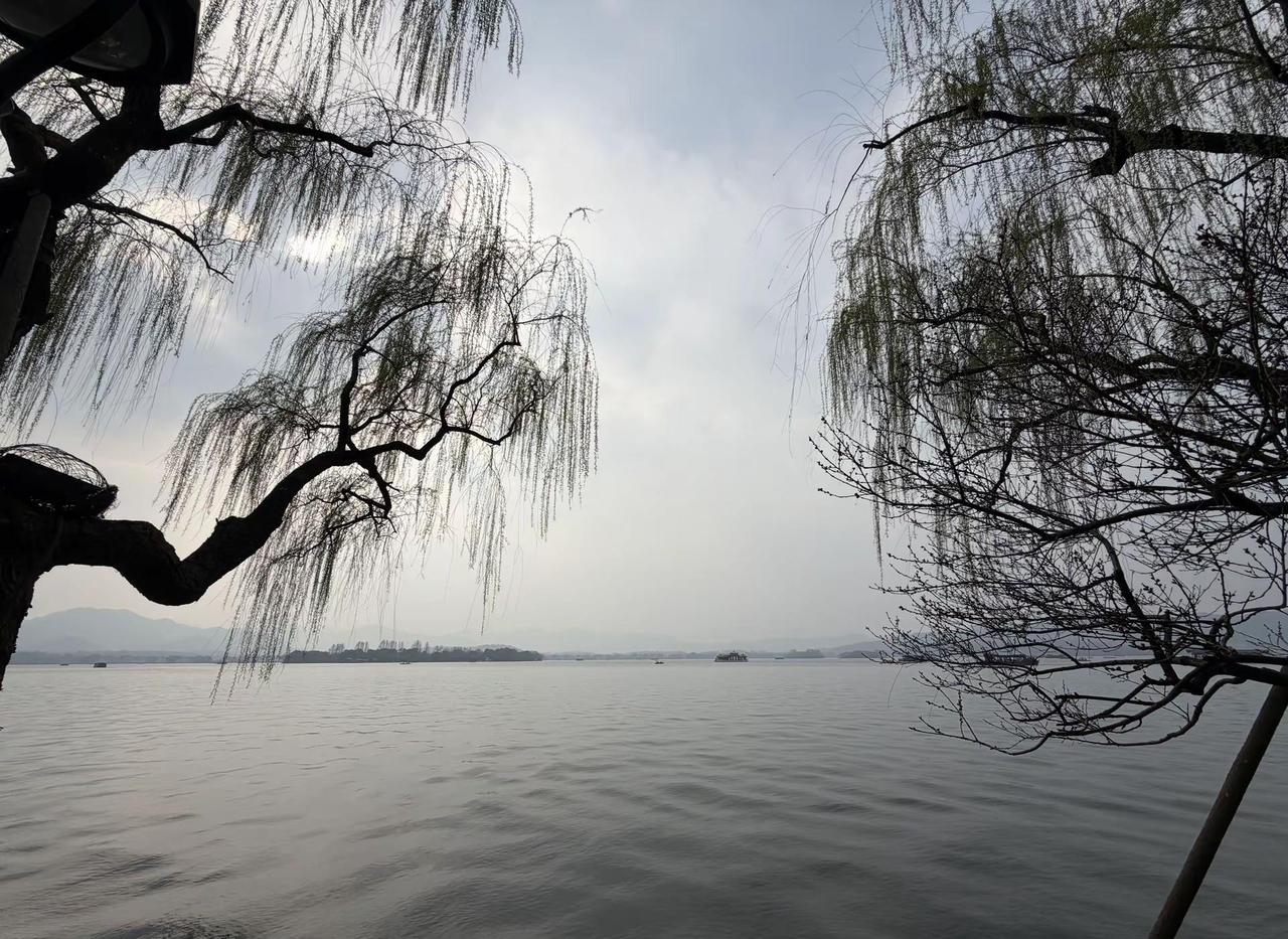 我不是懒，我只是在享受慢生活