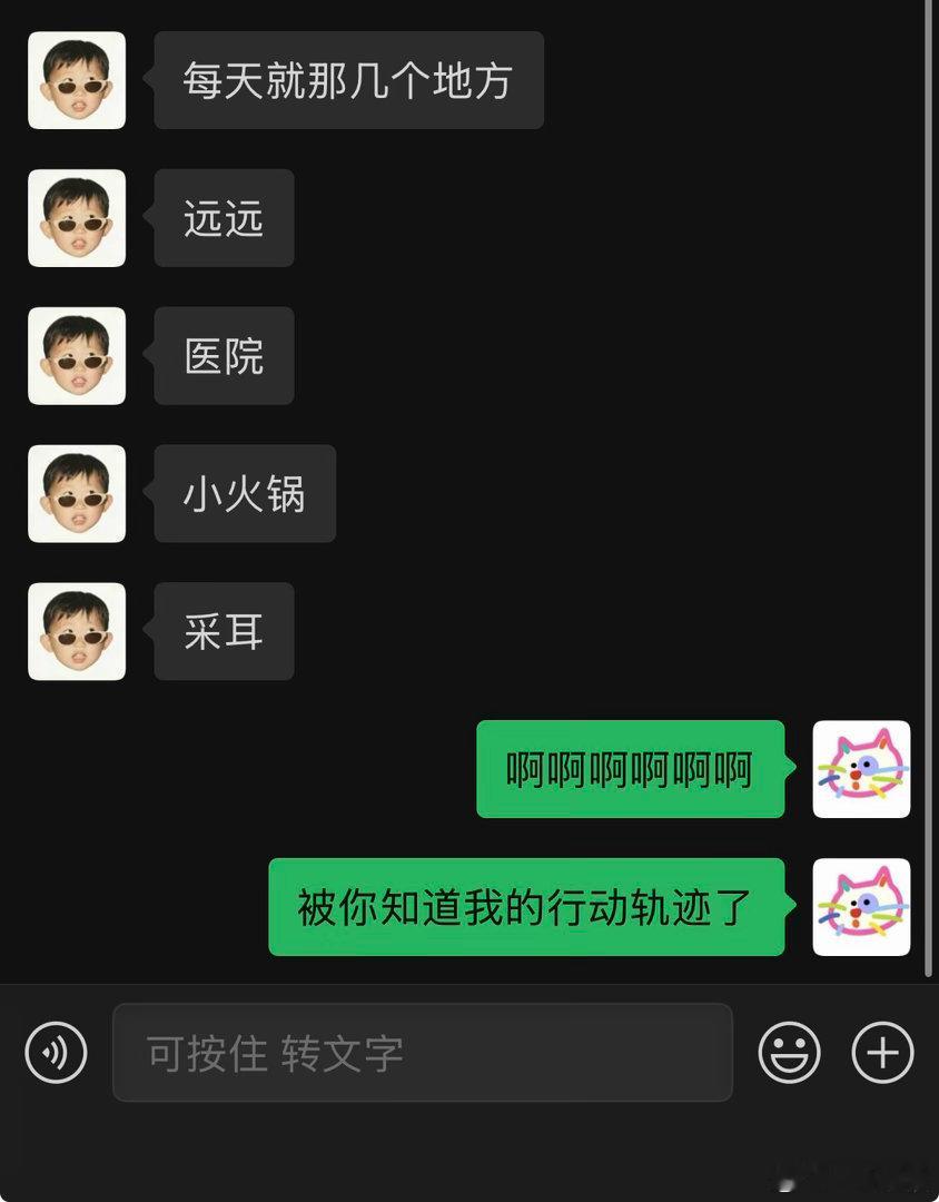 芋圆已经完全知道我一般出门的行动轨迹了 你们也是