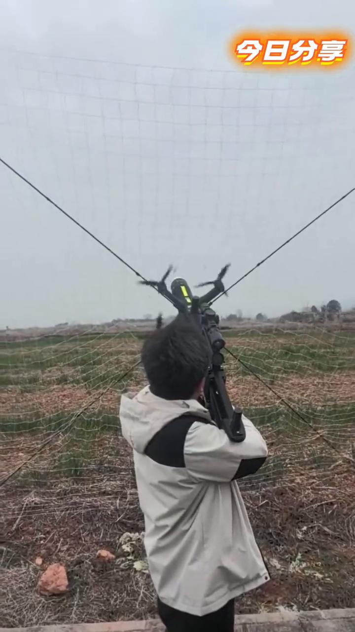 今日分享。