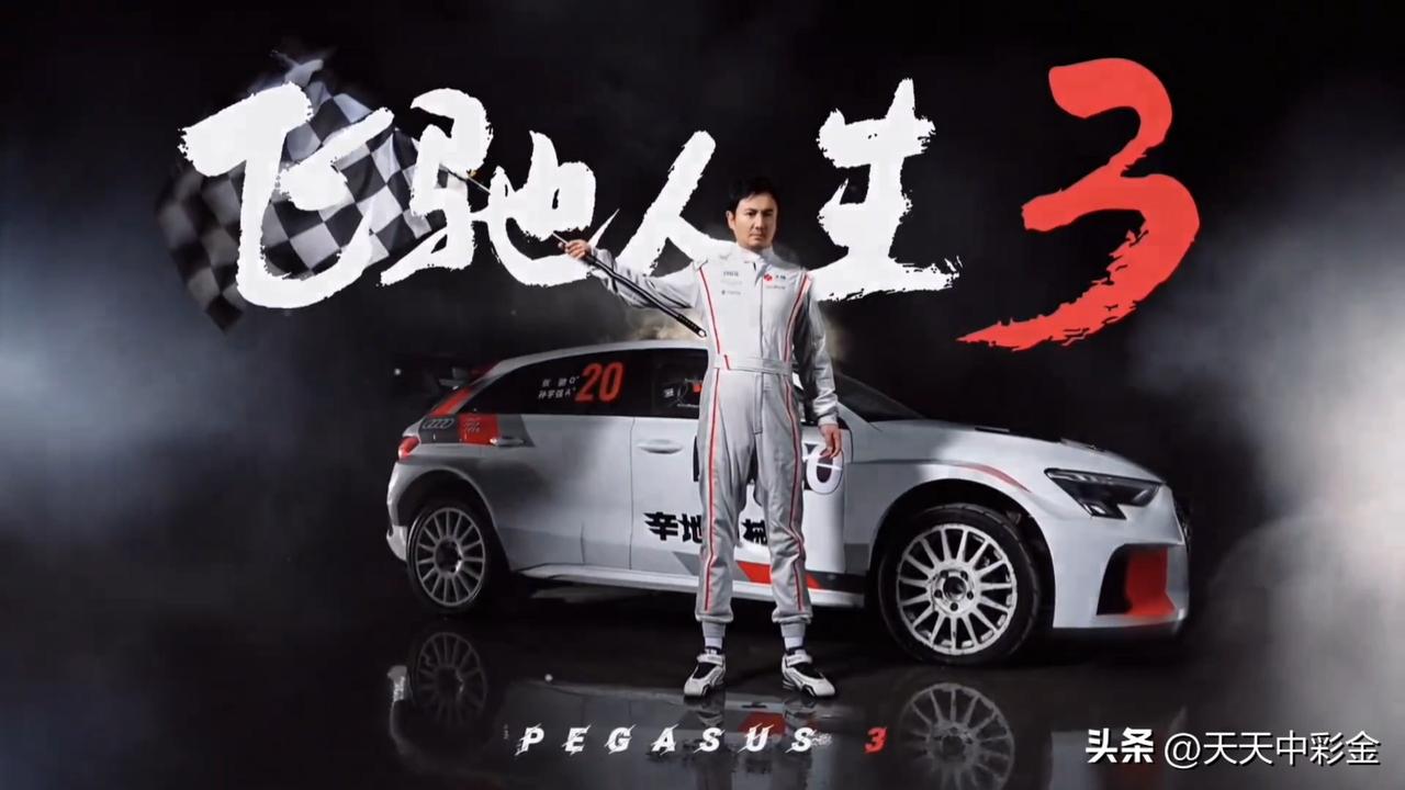 简单来说，如果你是赛车迷、技术控，或是追求极致视听体验的观众，这部电影绝对值回票