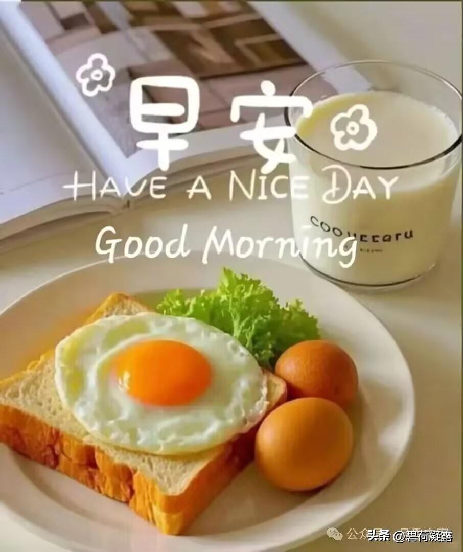 美好清晨送上祝福！忙碌中保重身体，快乐中享受生活！愿你带上微笑，带上快乐，与美好