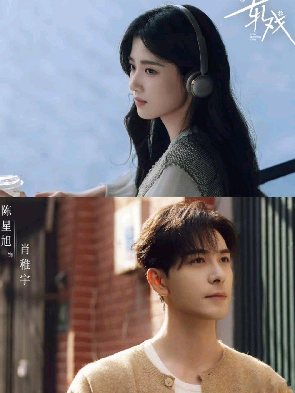 猫的树 升咖你永远可以相信猫的树出品 