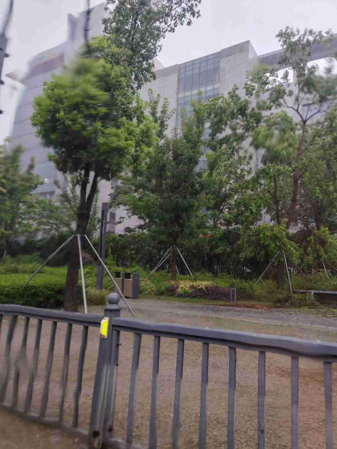 我的今日状态：😭伤心难过
我这里的天气：🌧下雨