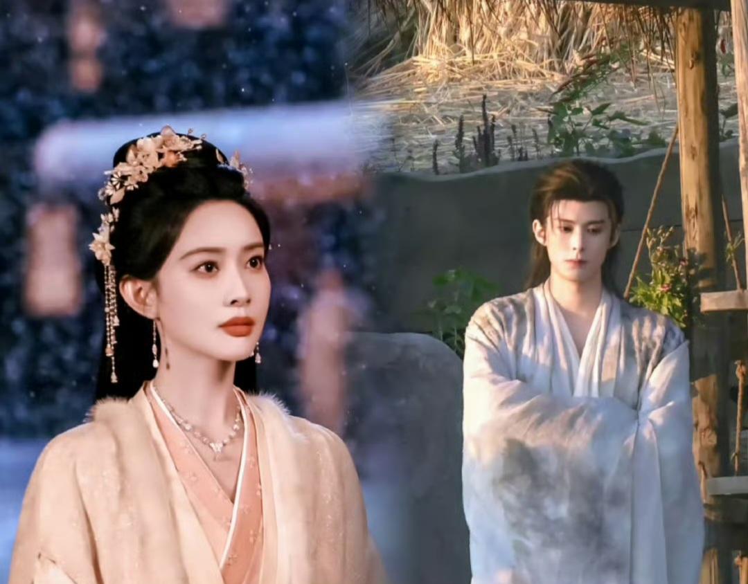 王鹤棣已拒《将门毒后》，那孟子义还会拍吗？

这本书其实拿到现在来说，确实有点古