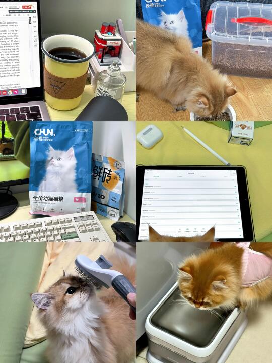 研二带娃读书｜家里人不同意但我就要富养