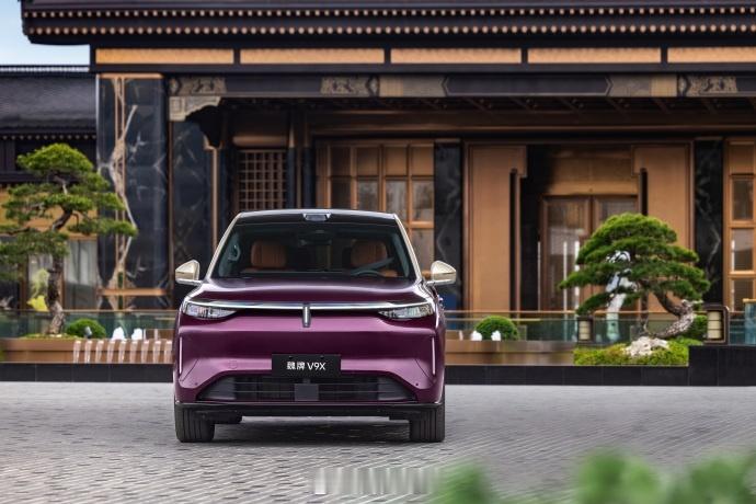 其实我挺好奇的，魏牌V9X这种9系旗舰车还需要两种轴距（标轴3050mm、长轴3