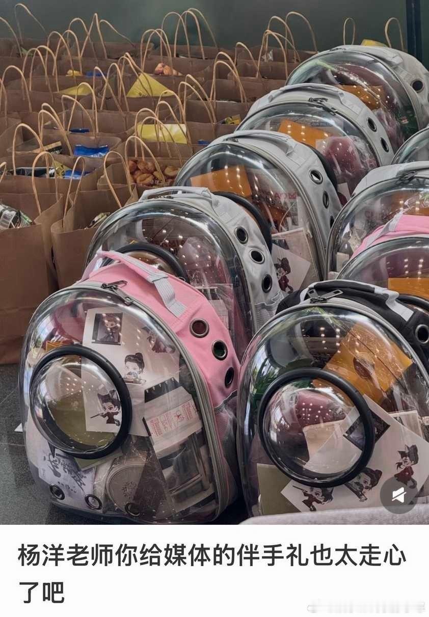 杨洋伴手礼准备了猫包猫猫大人 我真的要嫉妒了!!杨洋雨霖铃伴手礼
