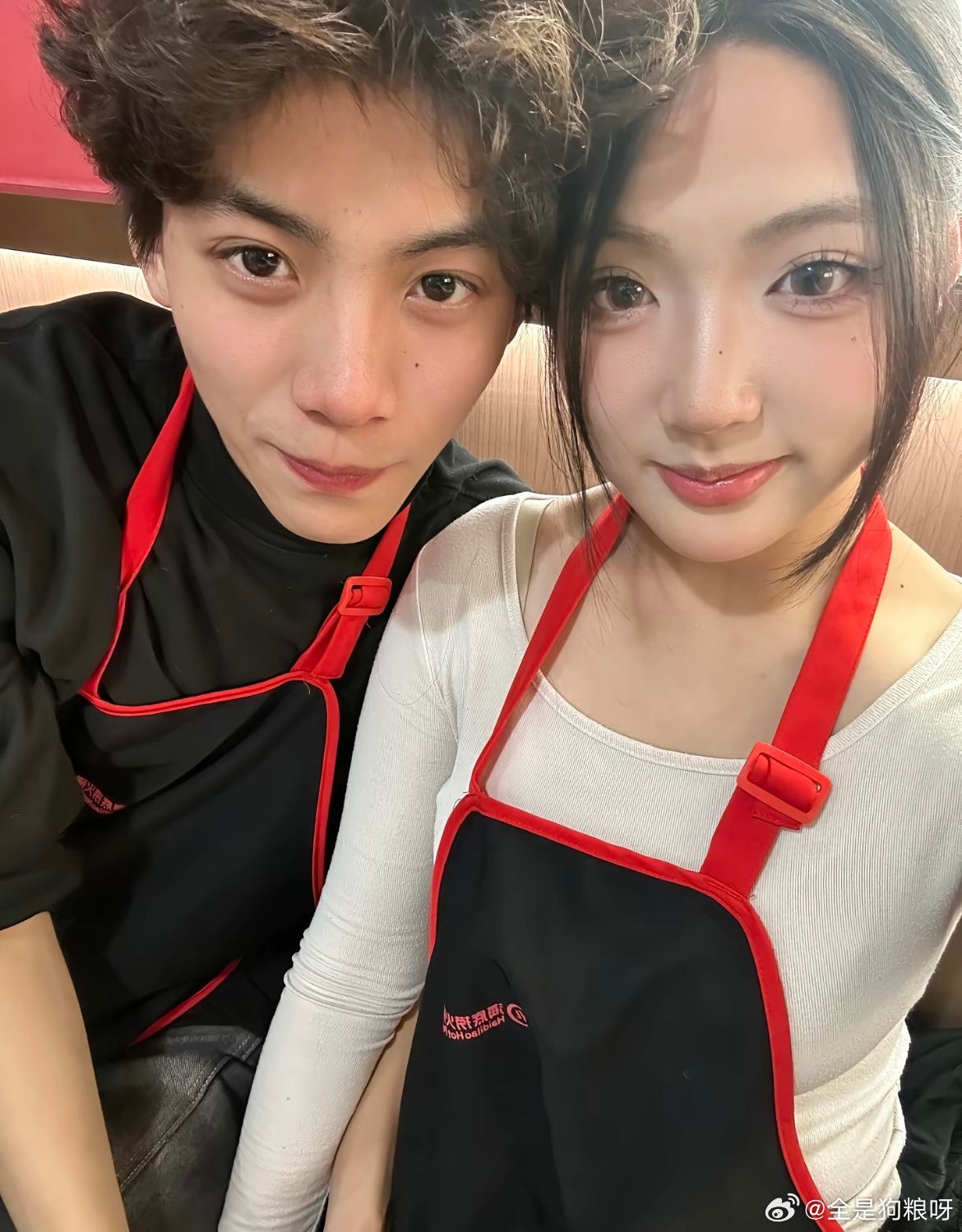 从此不再是一个人遛狗了 