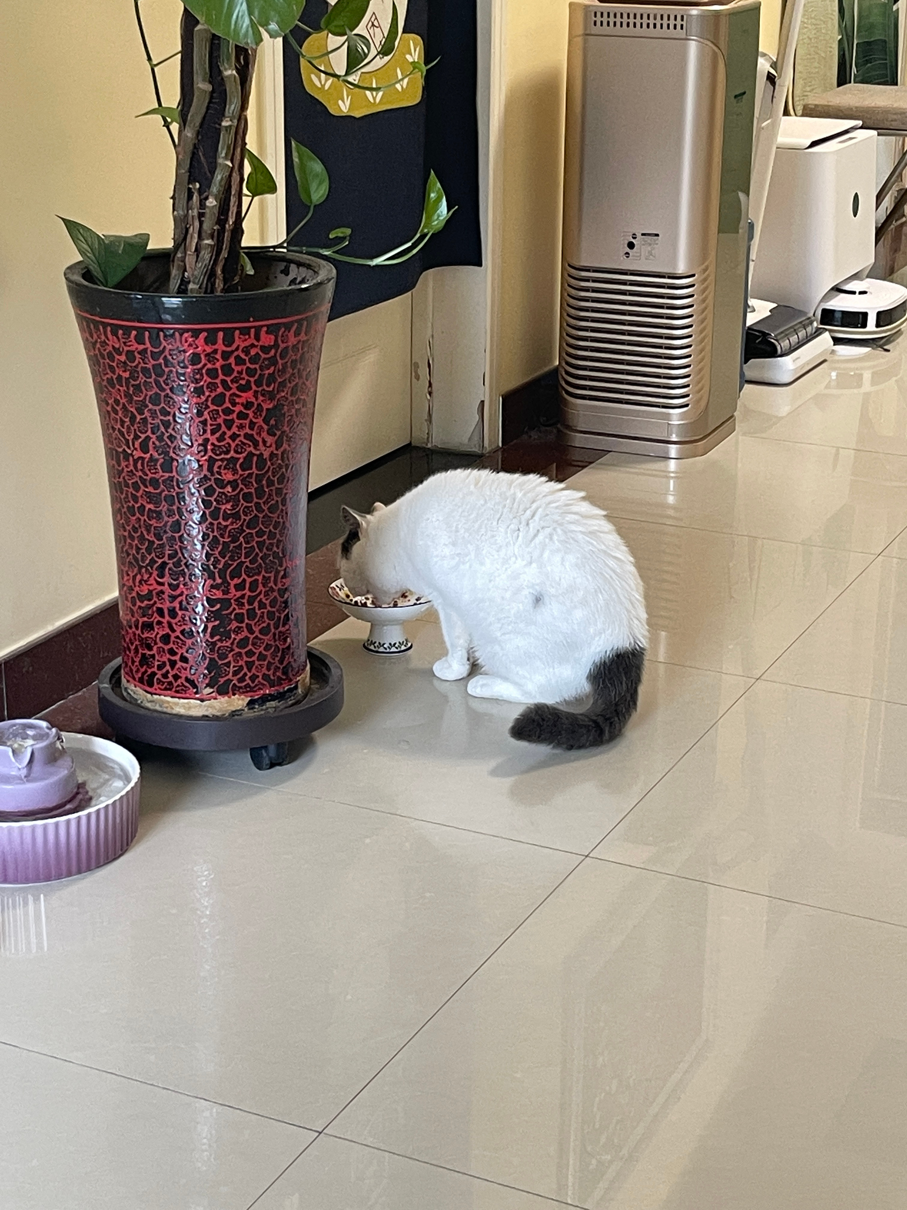 宝宝吃饭的时候我总是在想，宝宝怎么长得这么乖这么好，天下最好的宝宝就在妈妈手里，