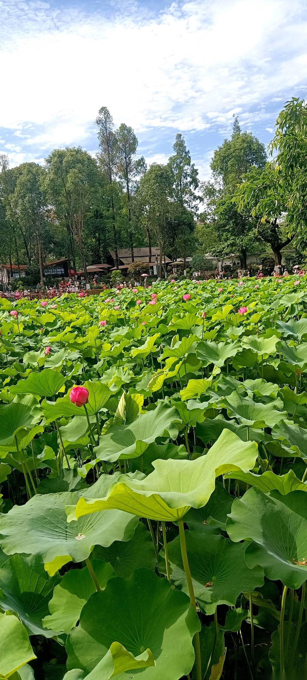 推开一扇门，门牌上明明刻着“处长”，但坐在大桌子后面签字的，偏偏是一位“二级巡视