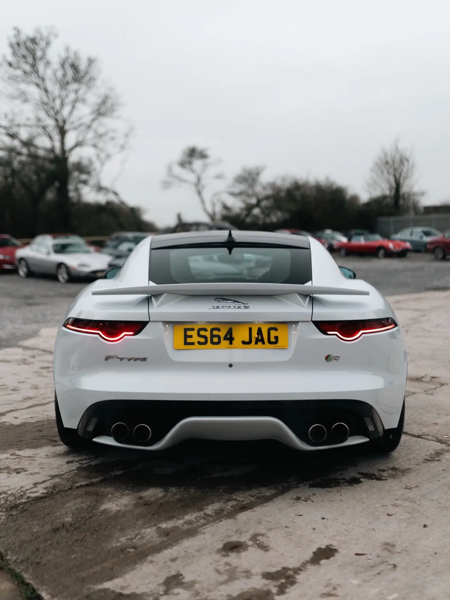 性感的英国女孩。