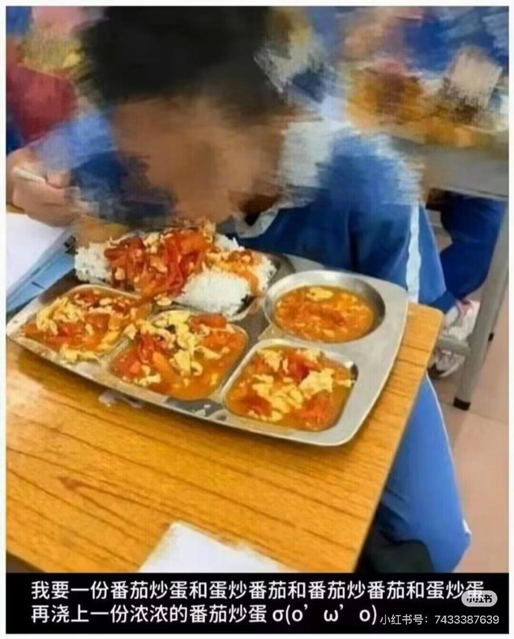 我爱番茄炒蛋 