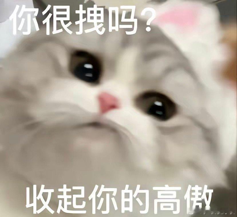 大吉胡咧咧 挟恩不图报47“随便点。”段守甘一坐下就把桌上菜单往前一推，口气像个