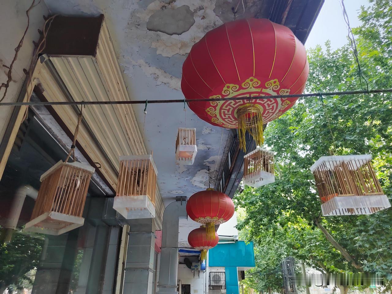 没想到啊，田园意境也搬进了城！
今天早晨6点多，我就出门了！
现在的天气不冷不热